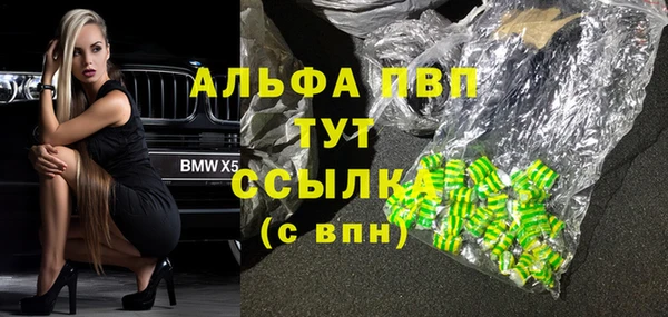 гашик Алзамай