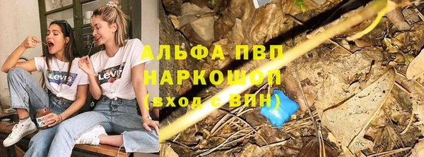 амф Абинск