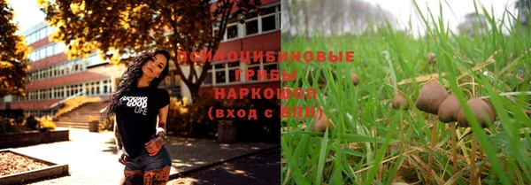 прущий лед Пересвет
